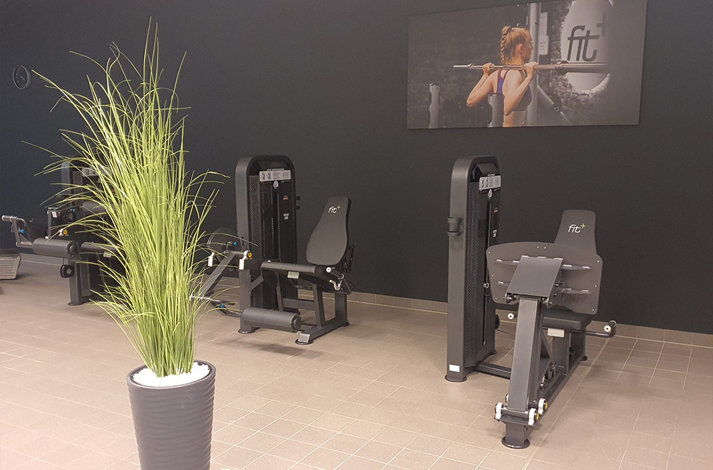 fitplus_Fitnessstudio Hartha Geraetetraining_1